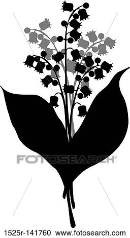 Lily of the valley, vector View Large Illustration Clipart - Lily of the valley, vector. Fotosearch