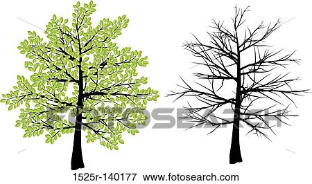 spring and winter tree View Large Illustration Stock Illustration - spring and winter tree. Fotosearch