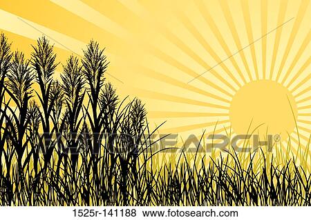 Stock Illustration - Sunset and meadow grass, vector. Fotosearch