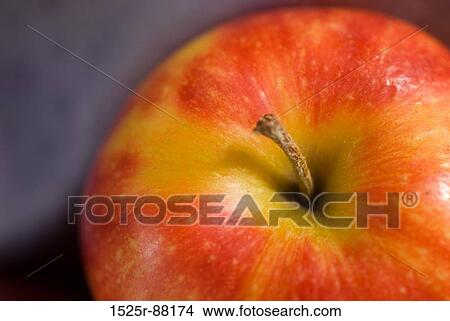 View Large Photo Image Picture - . Fotosearch