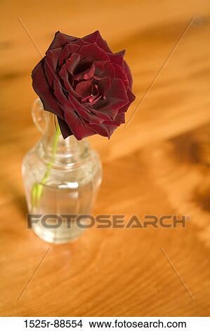 View Large Photo Image Picture - . Fotosearch