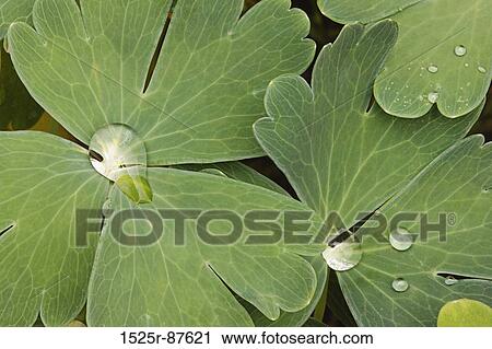 View Large Photo Image Stock Image - . Fotosearch