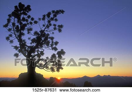 View Large Photo Image Stock Image - . Fotosearch