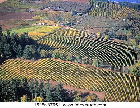 View Large Photo Image Stock Image - . Fotosearch