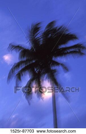 View Large Photo Image Stock Image - . Fotosearch