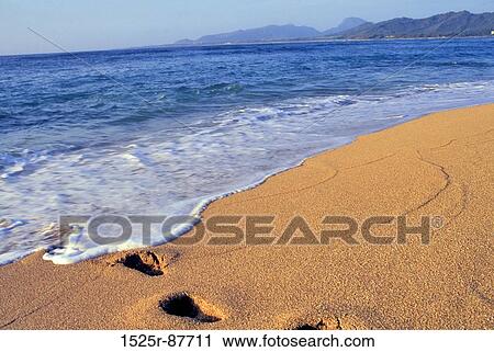 View Large Photo Image Stock Image - . Fotosearch