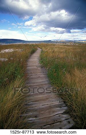 Stock Image -  . Fotosearch