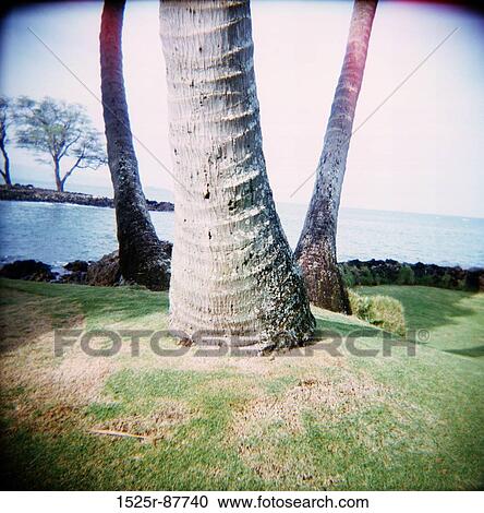 View Large Photo Image Stock Image - . Fotosearch