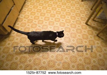 View Large Photo Image Stock Image - . Fotosearch