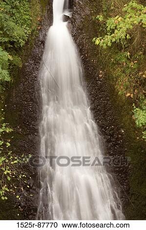 Stock Image -  . Fotosearch
