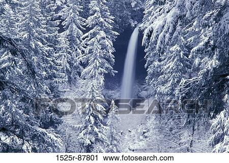 View Large Photo Image Stock Image - . Fotosearch