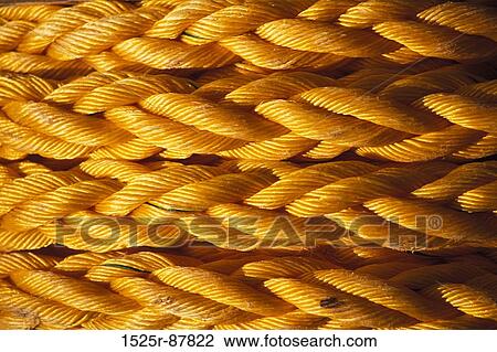 View Large Photo Image Stock Image - . Fotosearch