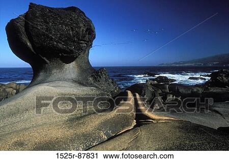 View Large Photo Image Stock Image - . Fotosearch