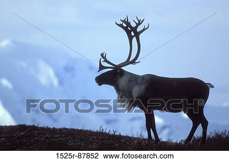 View Large Photo Image Stock Image - . Fotosearch