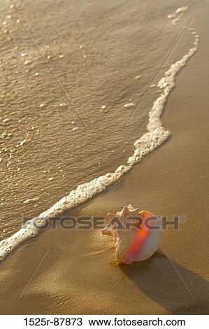 Stock Image -  . Fotosearch