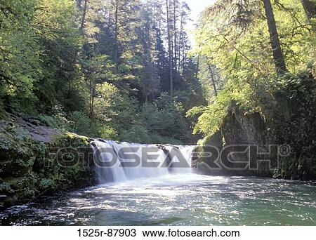 View Large Photo Image Stock Image - . Fotosearch