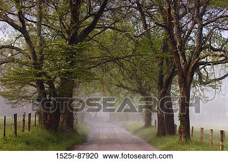 View Large Photo Image Stock Image - . Fotosearch