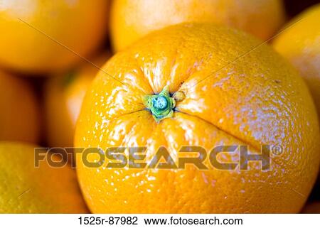 View Large Photo Image Stock Image - . Fotosearch