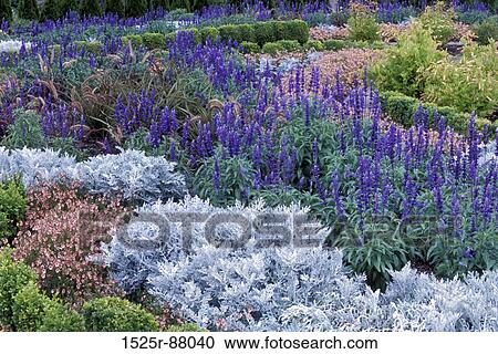 Stock Image -  . Fotosearch