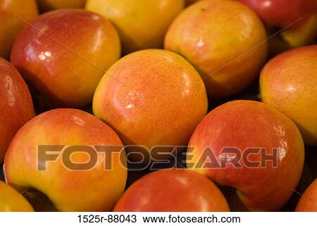 View Large Photo Image Stock Image - . Fotosearch