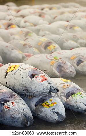 Stock Image -  . Fotosearch