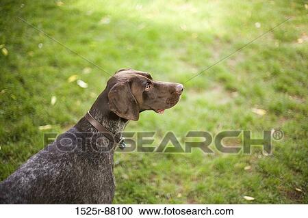 View Large Photo Image Stock Image - . Fotosearch