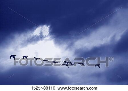 View Large Photo Image Stock Image - . Fotosearch