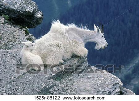 View Large Photo Image Stock Image - . Fotosearch