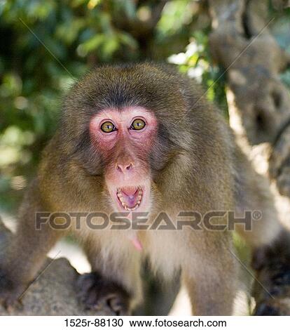 View Large Photo Image Stock Image - . Fotosearch