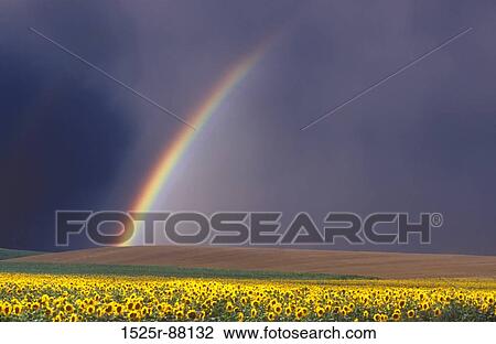 View Large Photo Image Stock Image - . Fotosearch