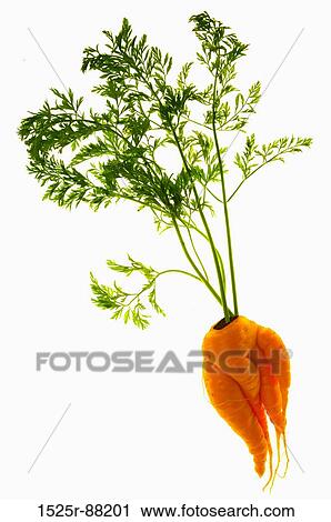 View Large Photo Image Stock Image - . Fotosearch