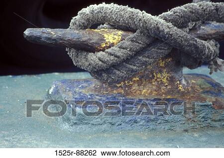 View Large Photo Image Stock Image - . Fotosearch