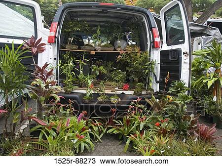View Large Photo Image Stock Image - . Fotosearch