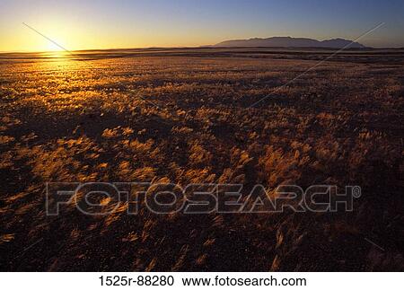 View Large Photo Image Stock Image - . Fotosearch