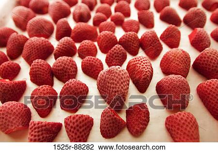 View Large Photo Image Stock Image - . Fotosearch