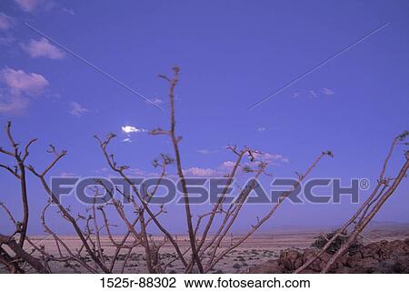 View Large Photo Image Stock Image - . Fotosearch