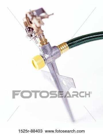 View Large Photo Image Stock Image - . Fotosearch