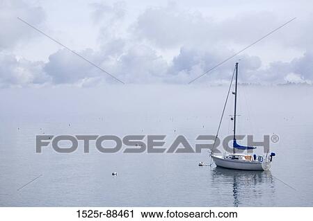 View Large Photo Image Stock Image - . Fotosearch