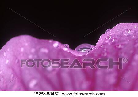 View Large Photo Image Stock Image - . Fotosearch