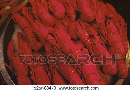 View Large Photo Image Stock Image - . Fotosearch