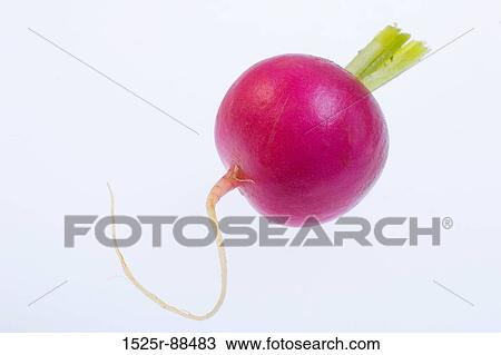 View Large Photo Image Stock Image - . Fotosearch