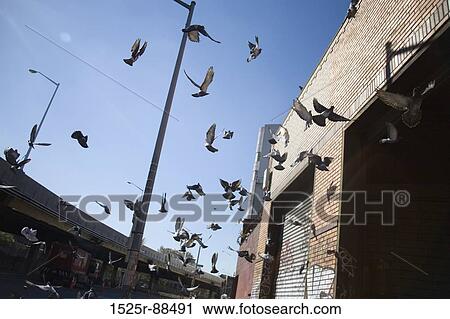 View Large Photo Image Stock Image - . Fotosearch