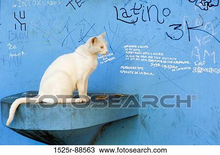View Large Photo Image Stock Image - . Fotosearch