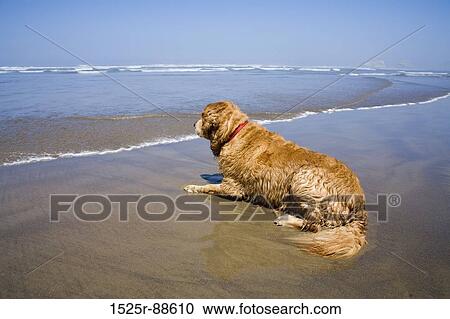 View Large Photo Image Stock Image - . Fotosearch