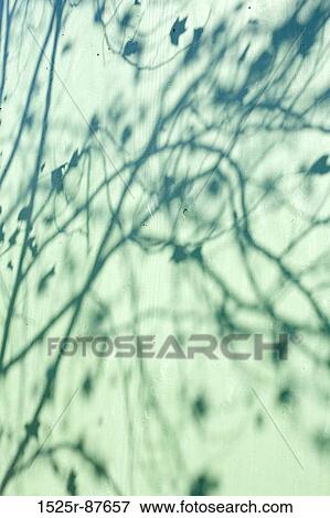 View Large Photo Image Stock Photo - . Fotosearch