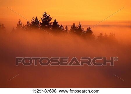 View Large Photo Image Stock Photo - . Fotosearch