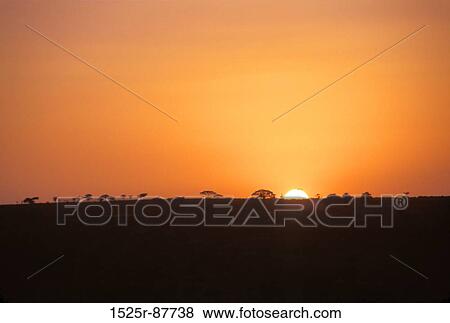 Stock Photo -  . Fotosearch