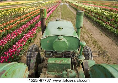 View Large Photo Image Stock Photo - . Fotosearch