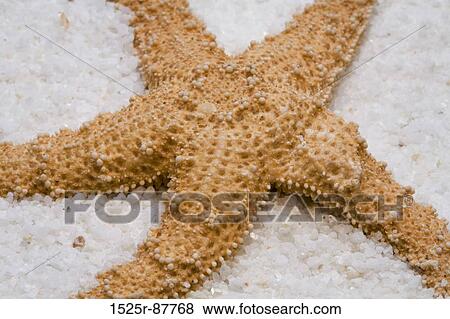 View Large Photo Image Stock Photo - . Fotosearch
