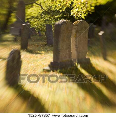View Large Photo Image Stock Photo - . Fotosearch